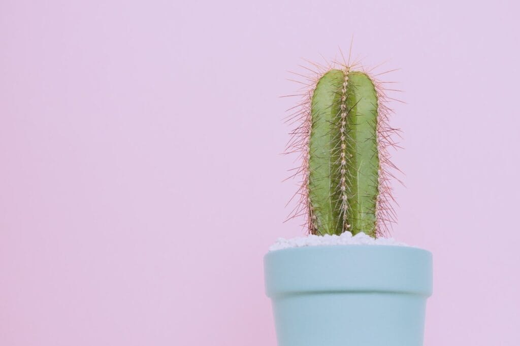 Sharpen Your Brand Strategy